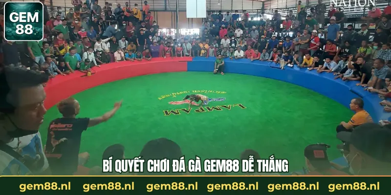 Bí quyết chơi đá gà GEM88 dễ thắng