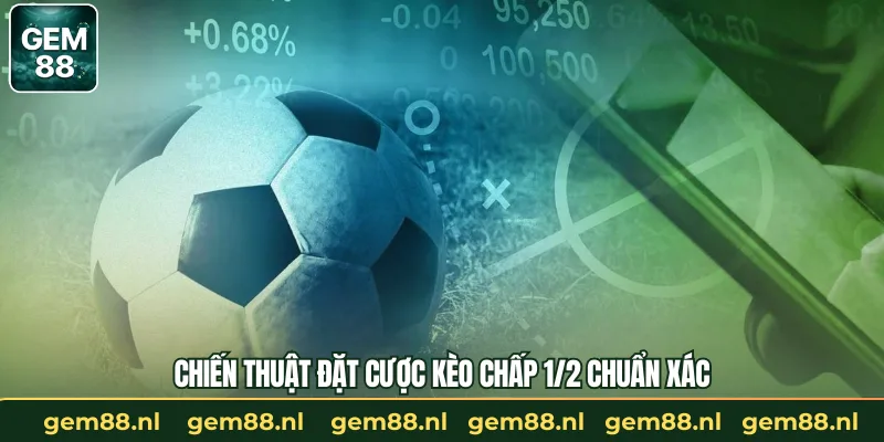 Chiến thuật đặt cược kèo chấp 1/2 chuẩn xác