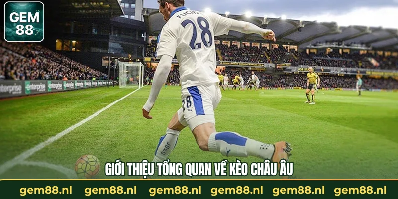 Giới thiệu tổng quan về kèo châu Âu